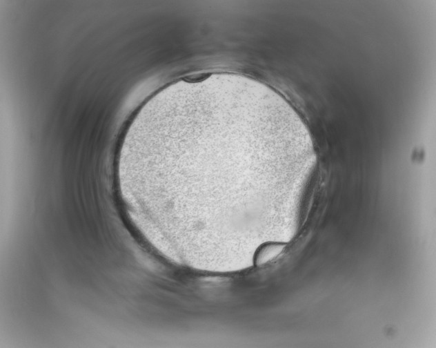 X0000090740053200708172016