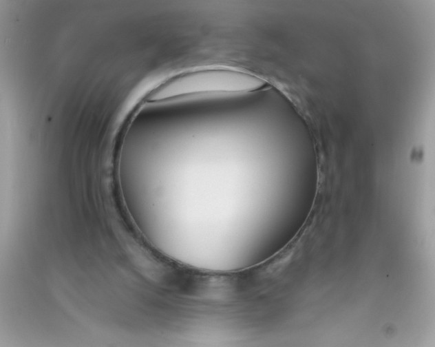 X0000090740056200708172016