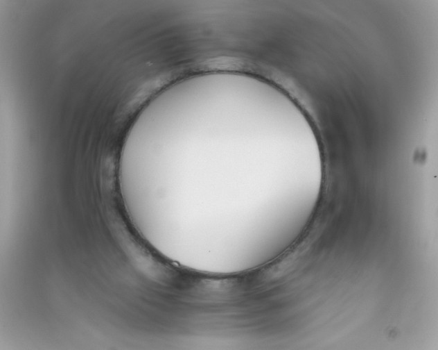 X0000090740057200708172016