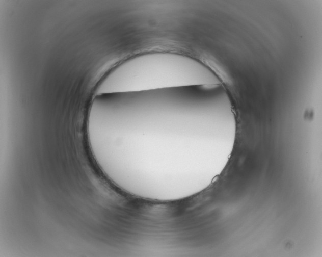 X0000090740058200708172016