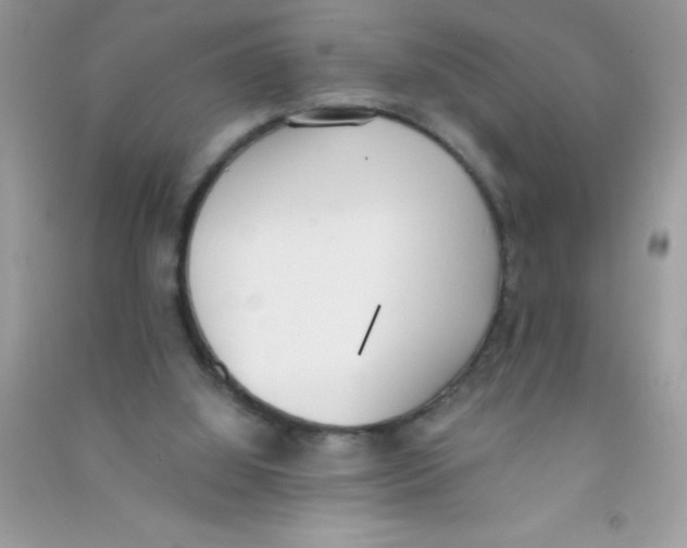 X0000090740060200708172016