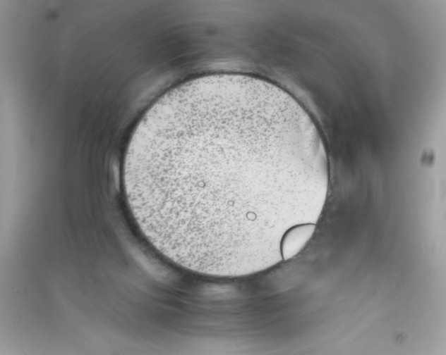 X0000090740061200708172016