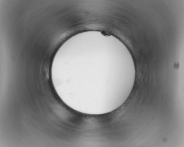 X0000090740062200708172016