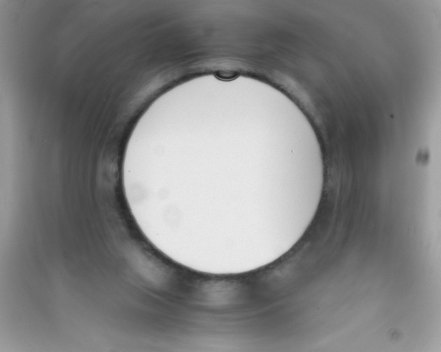 X0000090740063200708172016