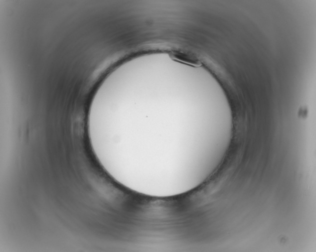 X0000090740064200708172016