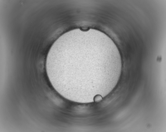 X0000090740065200708172016