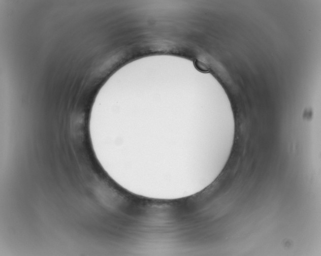 X0000090740066200708172016