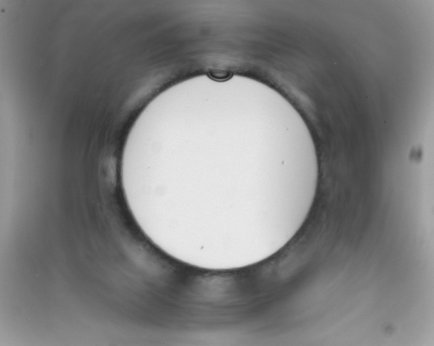 X0000090740067200708172016