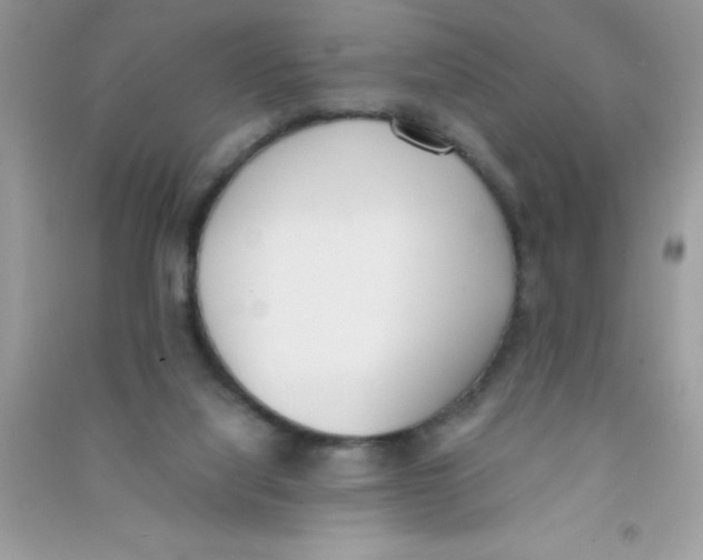 X0000090740068200708172016