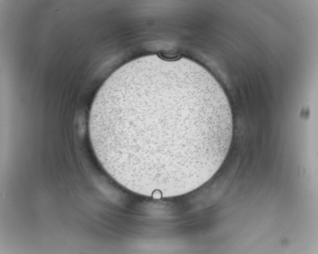 X0000090740069200708172016