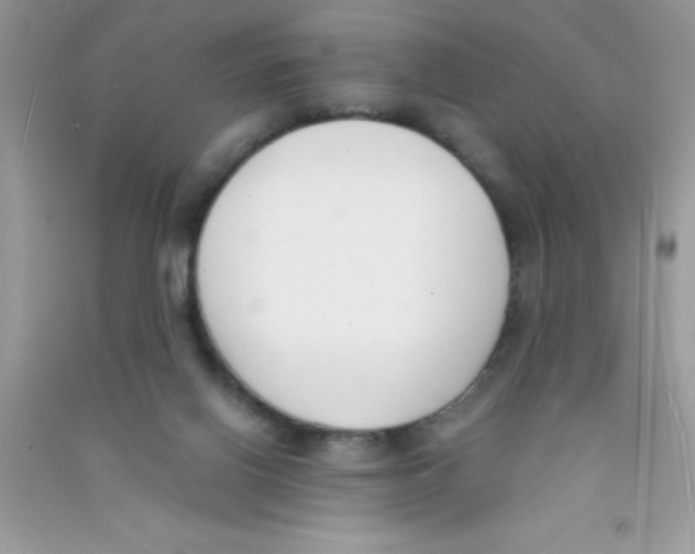 X0000090740070200708172016