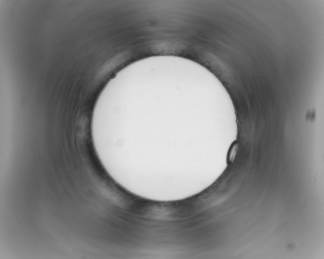 X0000090740071200708172016