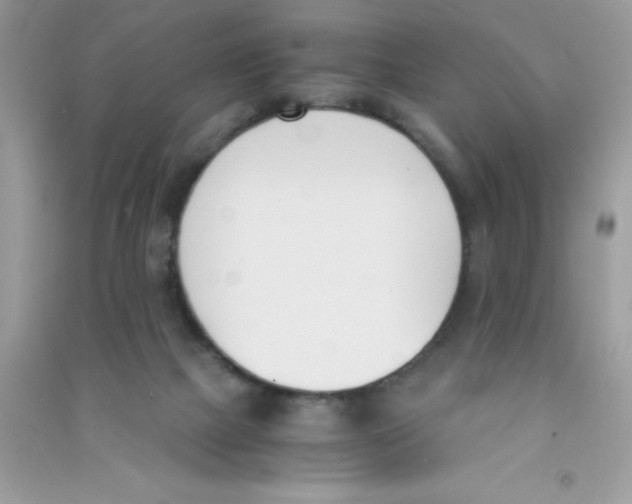 X0000090740073200708172016