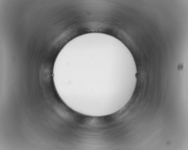 X0000090740074200708172016