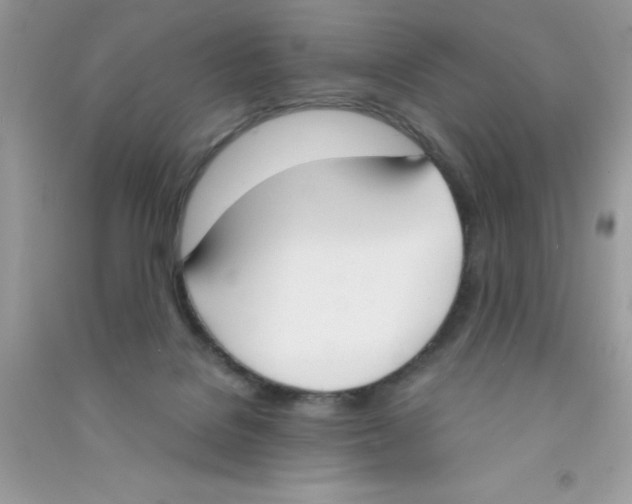 X0000090740076200708172016