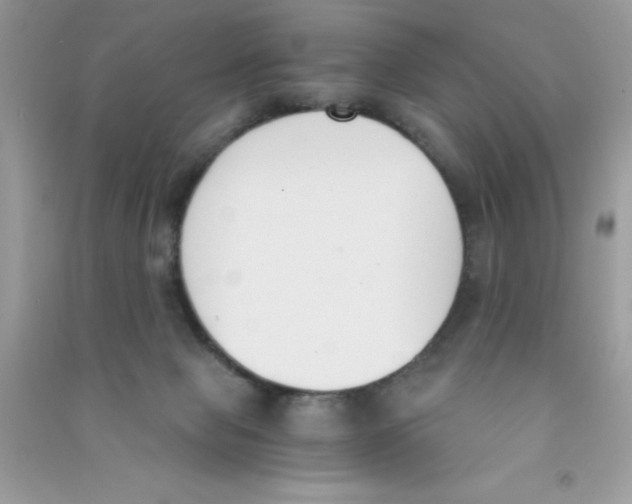 X0000090740077200708172016