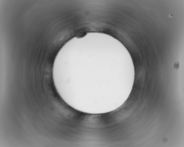 X0000090740078200708172016