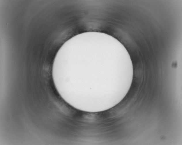 X0000090740079200708172016