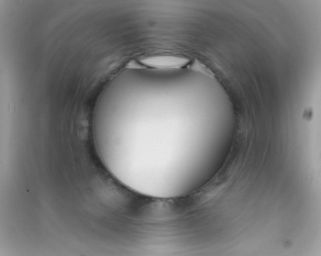 X0000090740080200708172016