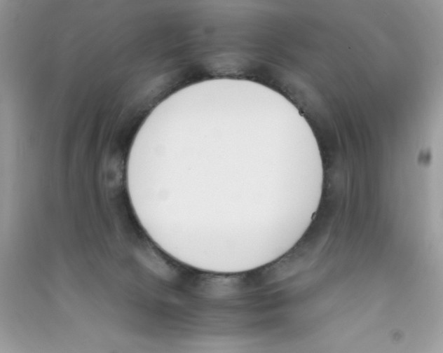 X0000090740081200708172016