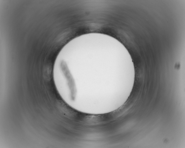 X0000090740082200708172016