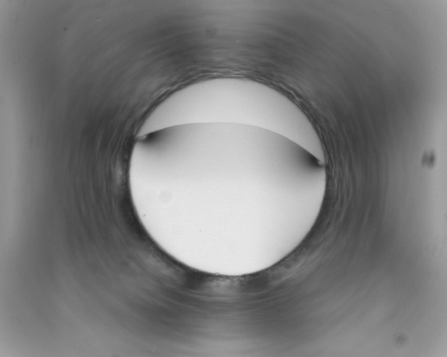 X0000090740084200708172016