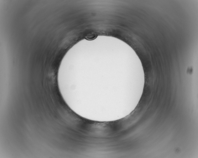 X0000090740086200708172016