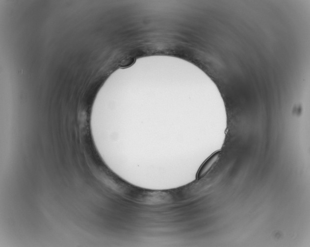 X0000090740087200708172016