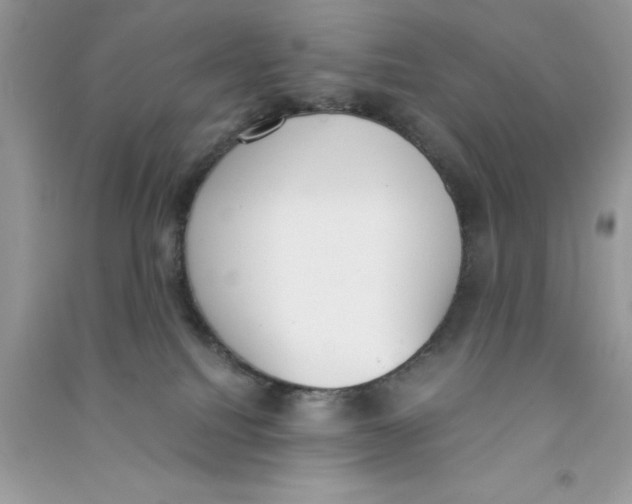 X0000090740088200708172016