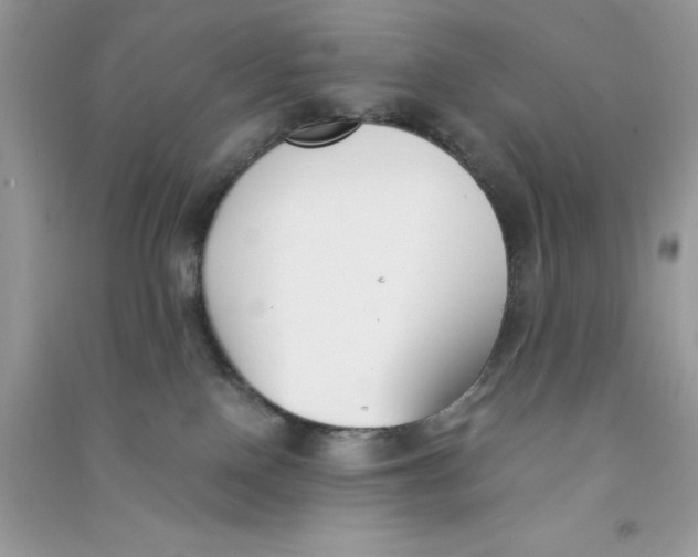 X0000090740090200708172016