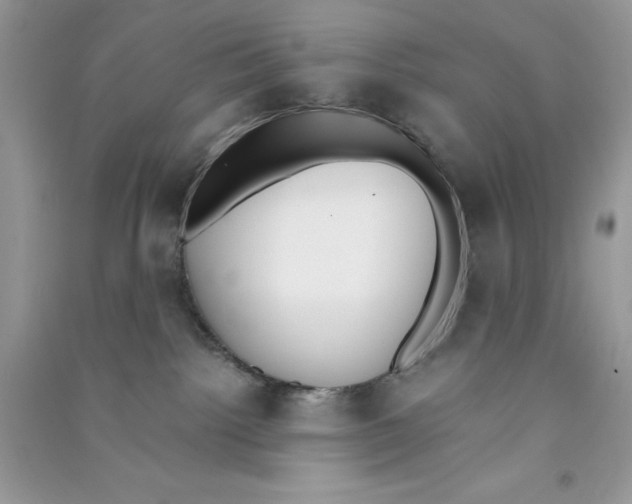 X0000090740092200708172016