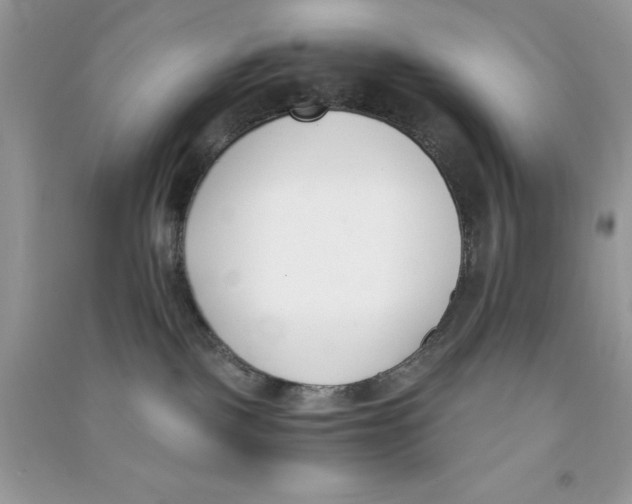 X0000090740093200708172016