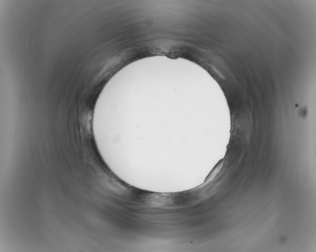 X0000090740094200708172016