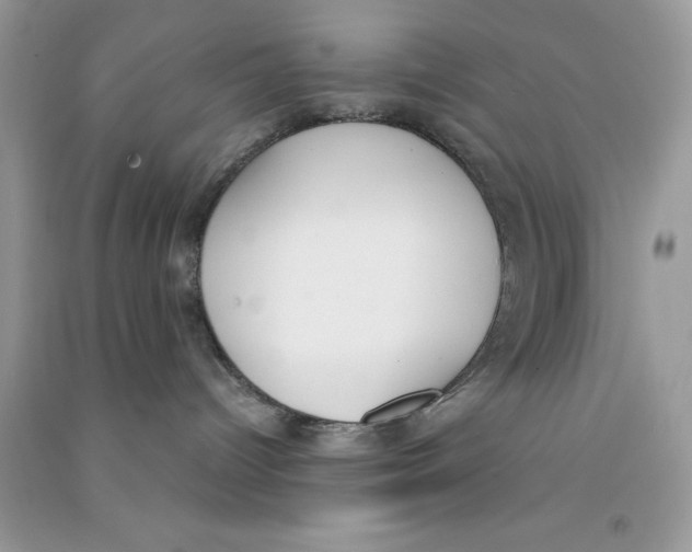 X0000090740096200708172016