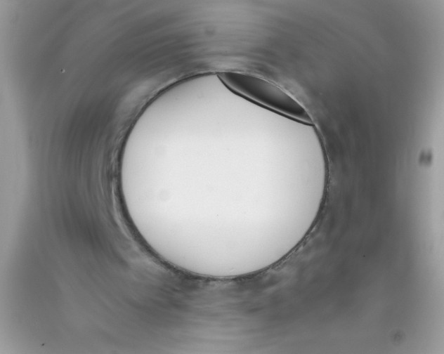 X0000090740097200708172016