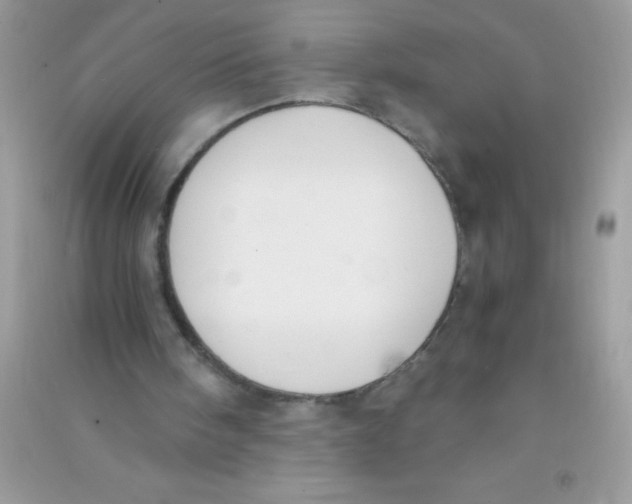 X0000090740098200708172016