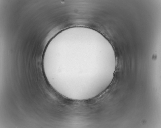 X0000090740099200708172016