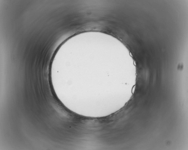 X0000090740100200708172016