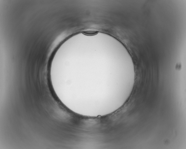 X0000090740102200708172015