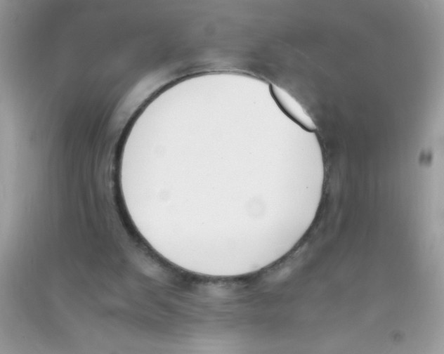 X0000090740103200708172015