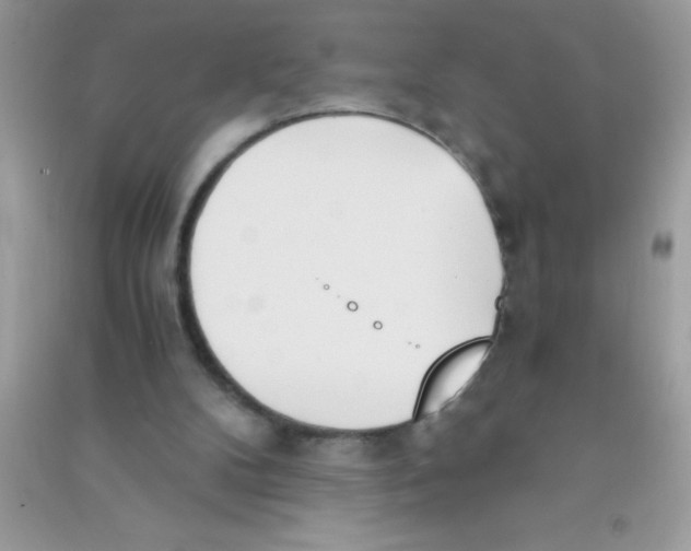 X0000090740104200708172015