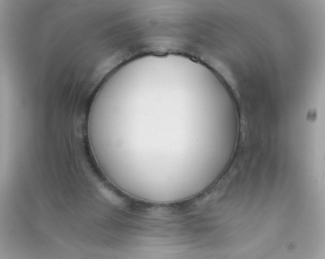 X0000090740105200708172015