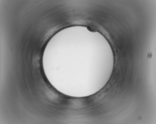 X0000090740106200708172015