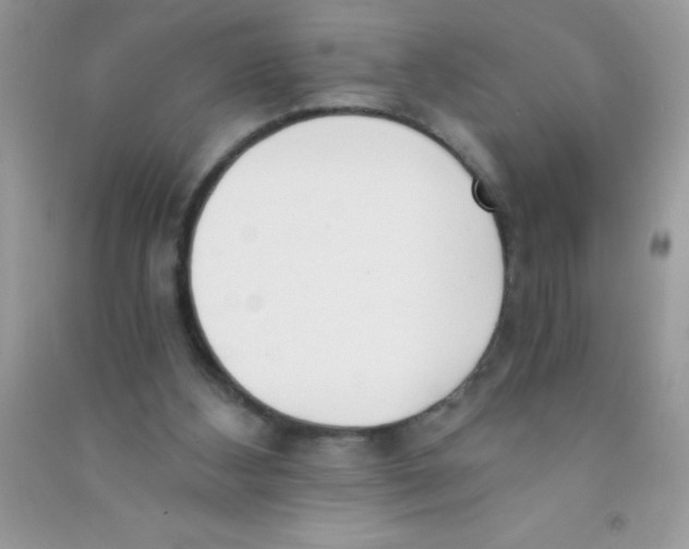 X0000090740108200708172015