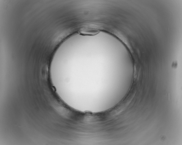 X0000090740109200708172015