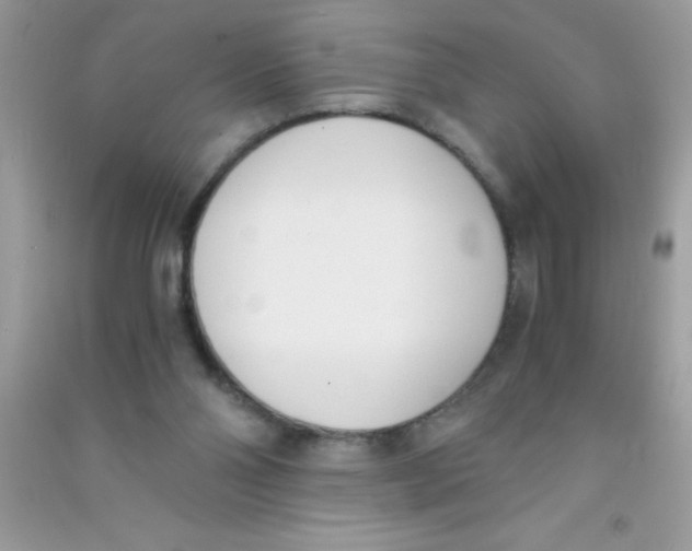 X0000090740110200708172015