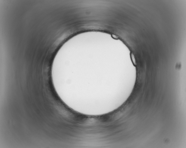 X0000090740111200708172015