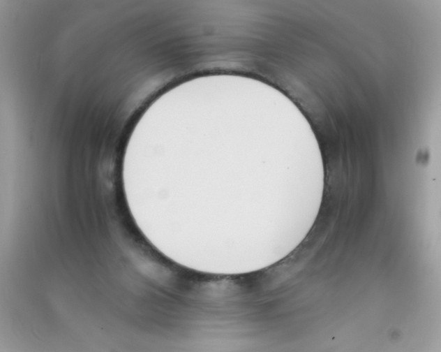 X0000090740112200708172015