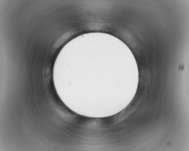 X0000090740116200708172015