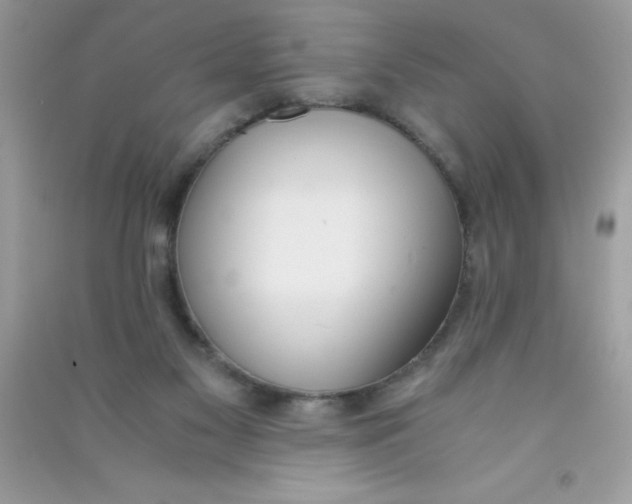 X0000090740117200708172015